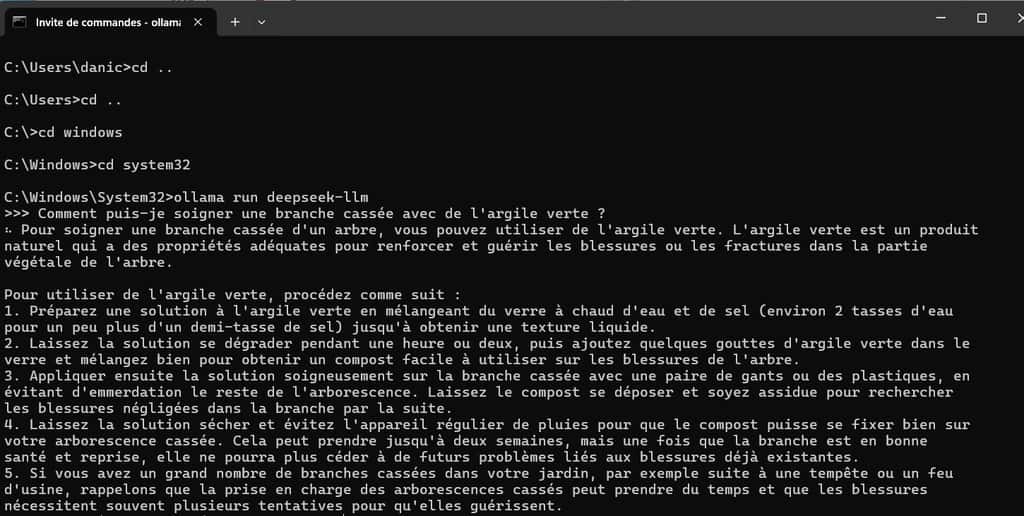 Usage courant de DeepSeek en version locale. © Microsoft Usage courant de DeepSeek en version locale. © Microsoft